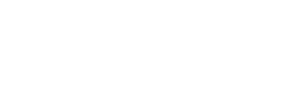 GNS Traders logo